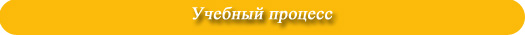 Учебный процесс